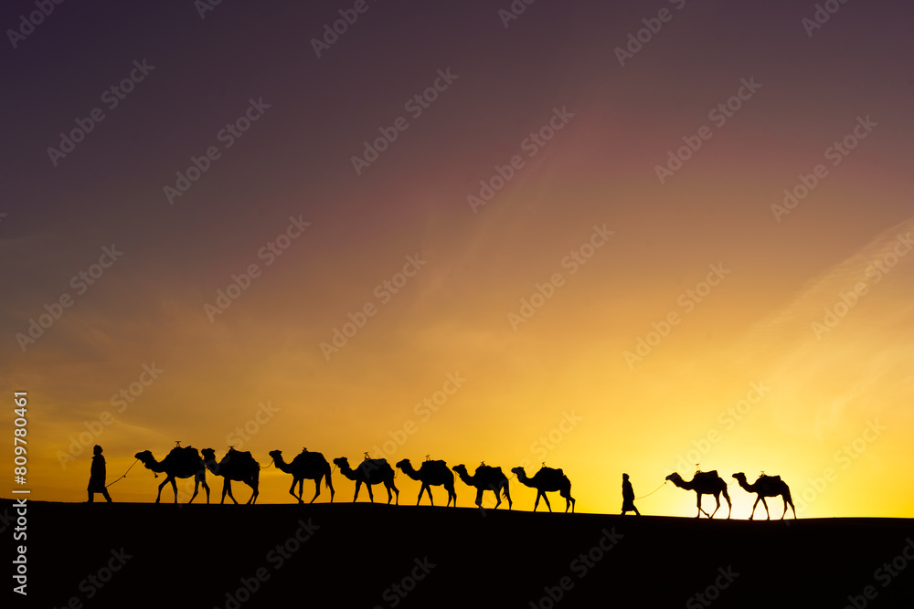 Sunrise silhouette of camels and handler, Merzouga