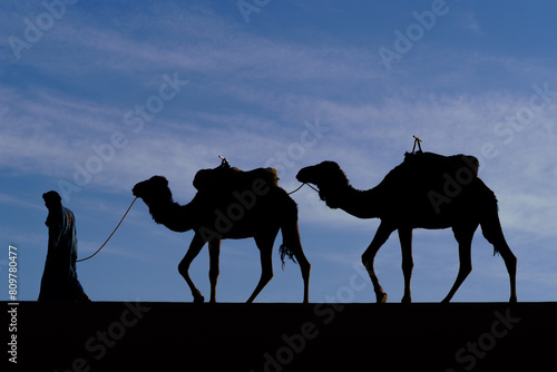 Obraz na płótnie Silhouette of camels, sand dunes of Merzouga w salonie
