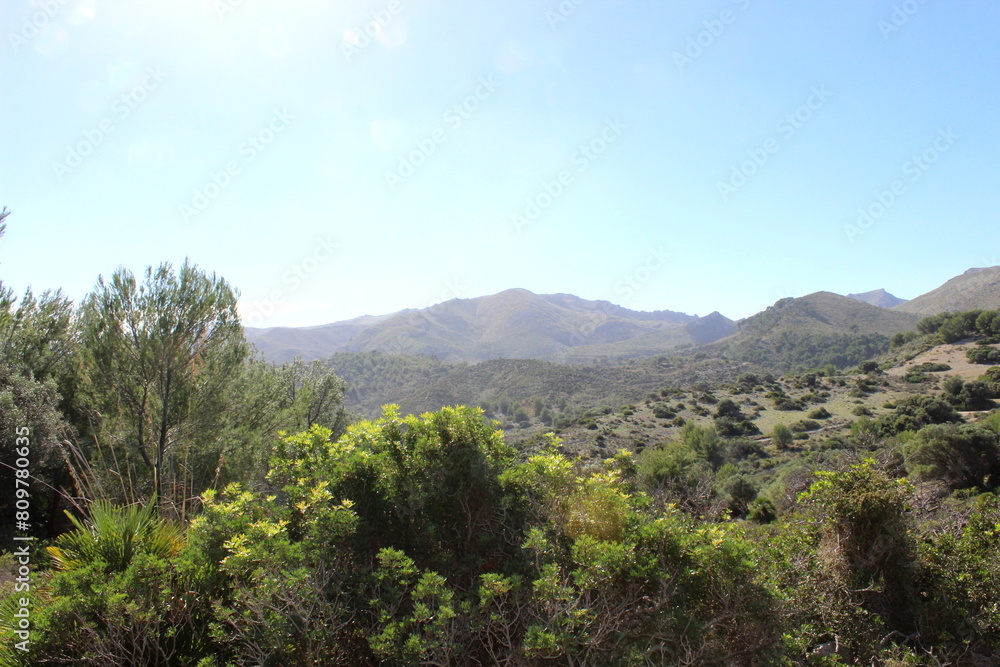  Mallorca, Capdepera, Cala Mesquida-Cala Agulla, Wanderweg, wandern, Tour