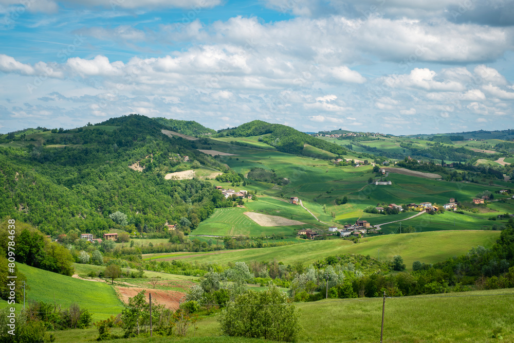 springtime panorama of the hills of oltrepo pavese, vinery area in italy (lombardy region) at the borders with piedmont and emilia romagna. it's famous for valuables wines, mainly sparkling wines.