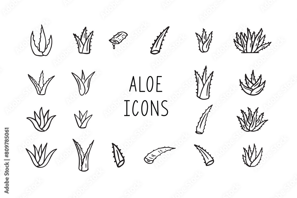 Fototapeta premium Hand drawn doodle aloe vera outline icon set