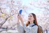 春の桜の写真を撮影する外国人旅行者