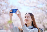 春の桜の写真を撮影する外国人旅行者