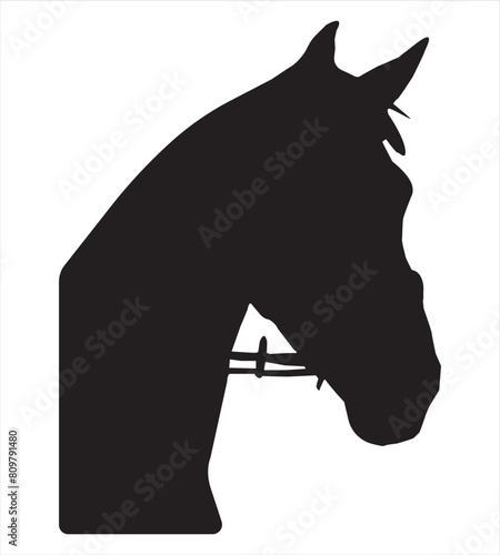 Horse head with bridle silhouette .Vector illustration.