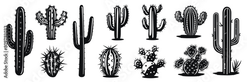 Cactus vector illustration. Different desert plants hand drawn black on white background. Cacti silhouette.