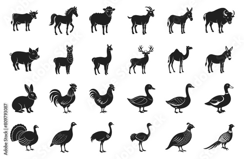 Farm animals vector illustration. Different domestic birds and pet hand drawn black on white background. Silhouette of alpaca, bison, camel, rabbit, rooster, sheep, cow, horse.