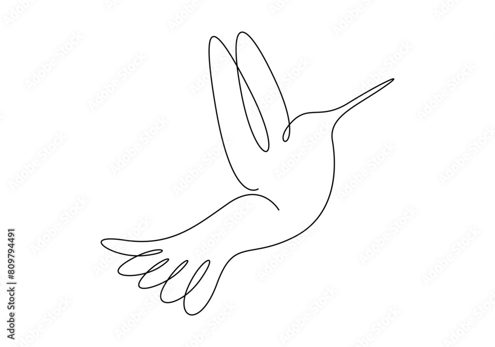 Humming bird continuous one line drawing vector illustration Humming bird continuous one line drawing vector illustration