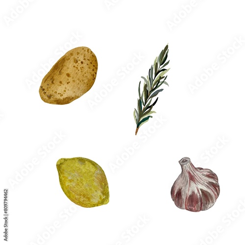 Potato rosemary lemon garlic set watercolor sketch