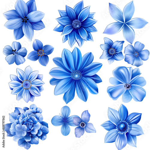 blue flowers background