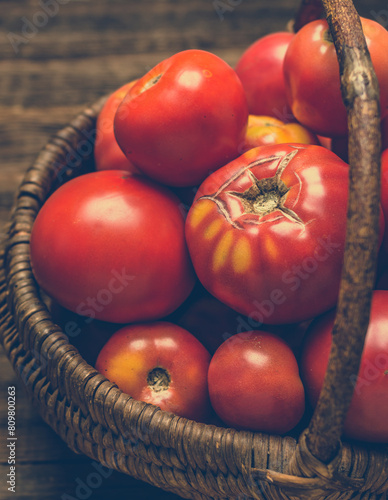 Homegrown red tomatoes in the basket. Bio organic tomato on farmer market. Farm fresh vegetable background.