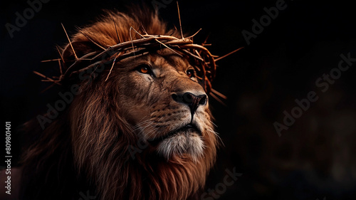 Concept of sacred imagery of Christian iconography with the lion of Judah wearing crown of thorns isolated on black background.