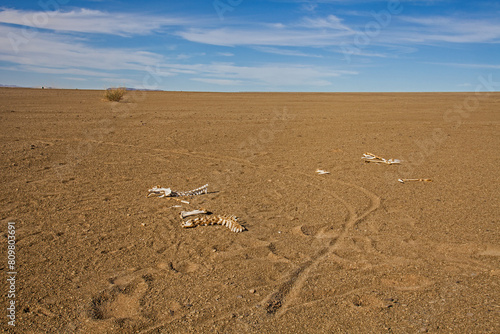 Namibian desert landscape 3977