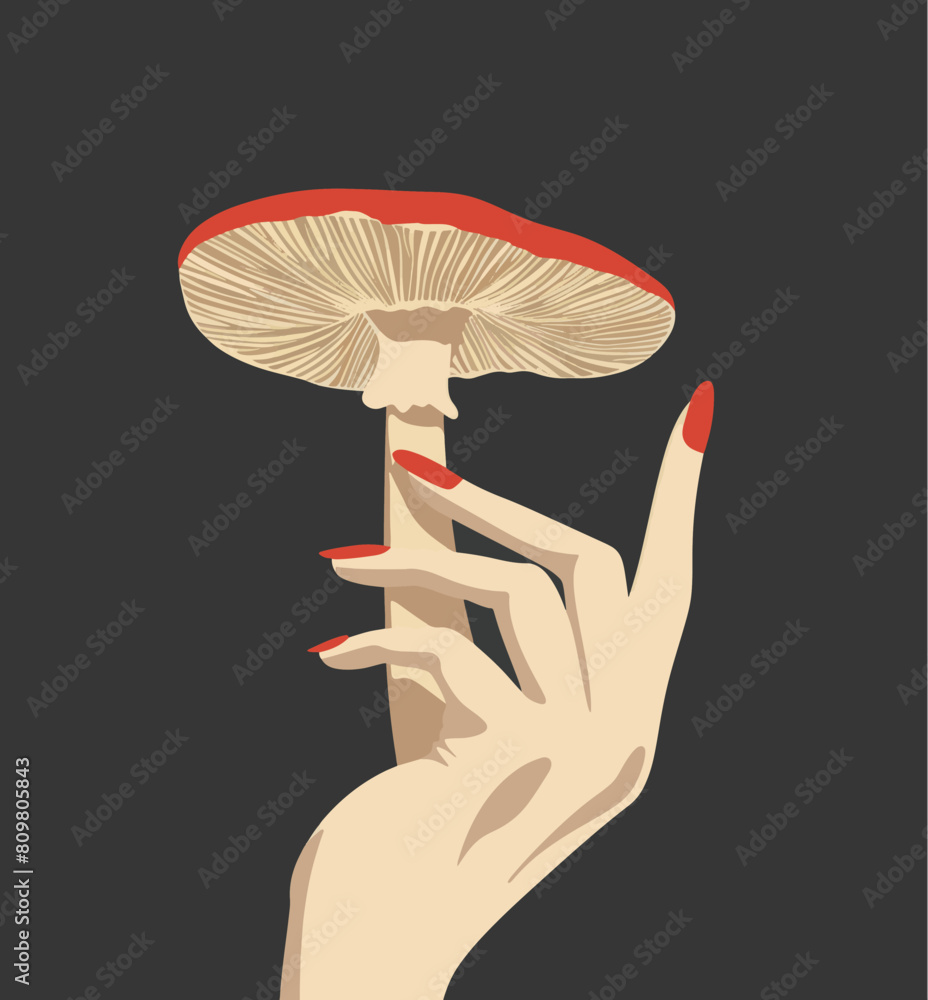 Obraz premium A female hand holding a mushroom. Boho mystic spiritual mushroom vector illustration