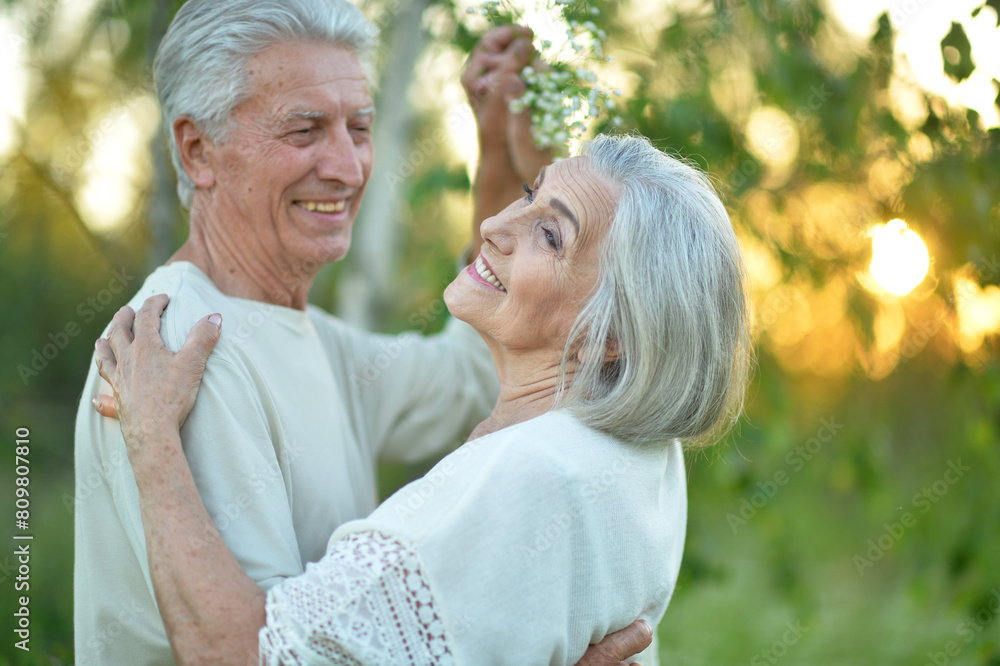 Portrait of happy beautiful senior couple dancing in summer park Portrait of happy beautiful senior couple dancing in summer park