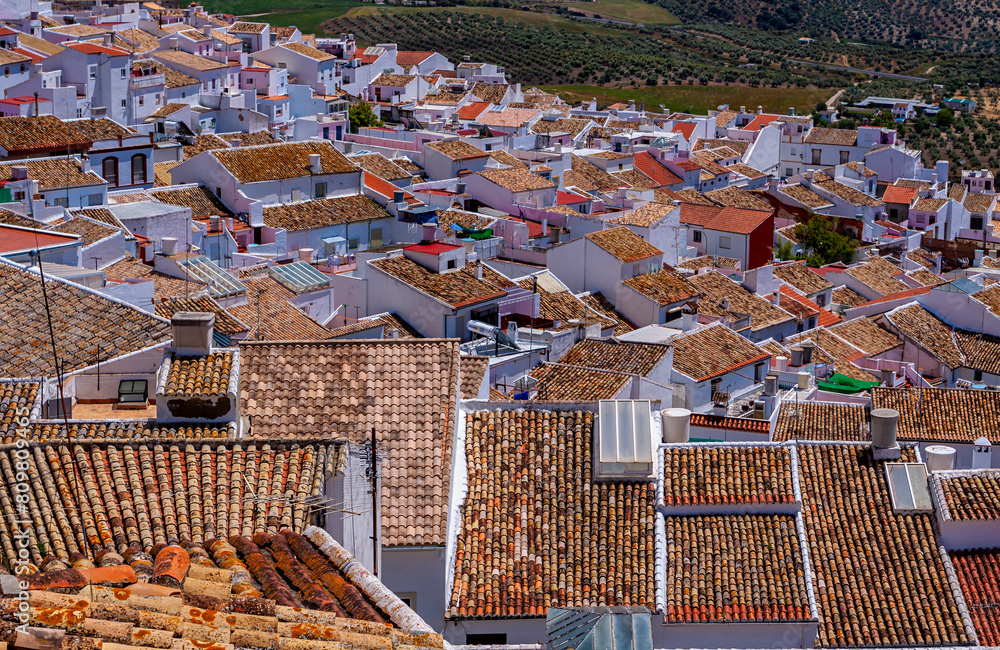 Terracotta Hausdächer im südländischen Stil, Bornos, Andalusien, Spanien