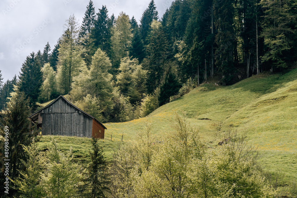 Holzstall in den Alpen