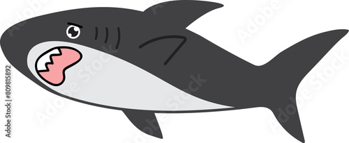 cute shark cartoon art  sea animal