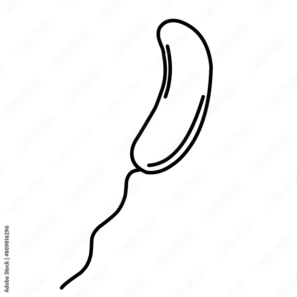 Doodle Bacteria Doodle Bacteria