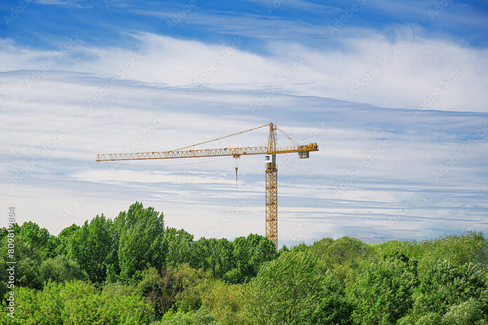 A construction crane rises above the trees against the sky.