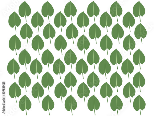 Wallpaper Mural ​Different type Green leaf icon set. leaf icon on an isolated background. Torontodigital.ca