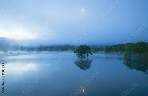 早朝の山形白川湖の水没林 © GINZI