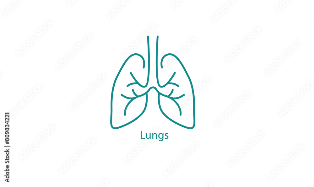 Human Lungs Medical Icon for Healthcare Human Lungs Medical Icon for Healthcare