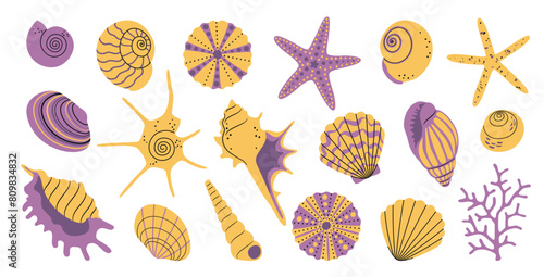Large summer set of isolated sea flat cartoon underwater world elements, variety of bright seashells, starfish, sea urchins, corals for pattern, stickers, logo. Vector EPS10 photo
