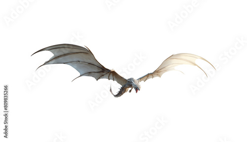 White silvery dragon in flight. Isolated transparent background PNG. Mythological winged beast flying. Attack pose. Majestic dragon with long wings in flight. Fierce expression. Sharp teeth. photo