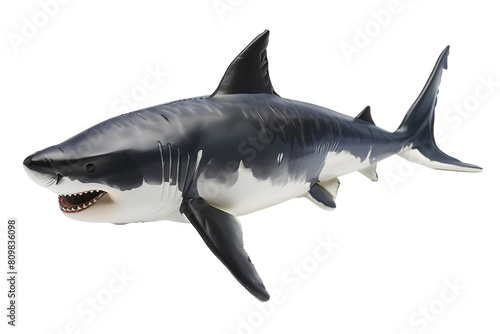 Realistic Great White Shark Model - Isolated on White Transparent Background  PNG 