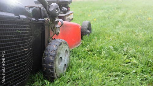 Slika na platnu Lawn mower cutting green grass low angle shot with selective focus