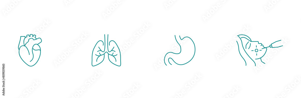 Human Heart, Lungs, Stomach, and Skin Treatment Vector Icon Set Human Heart, Lungs, Stomach, and Skin Treatment Vector Icon Set