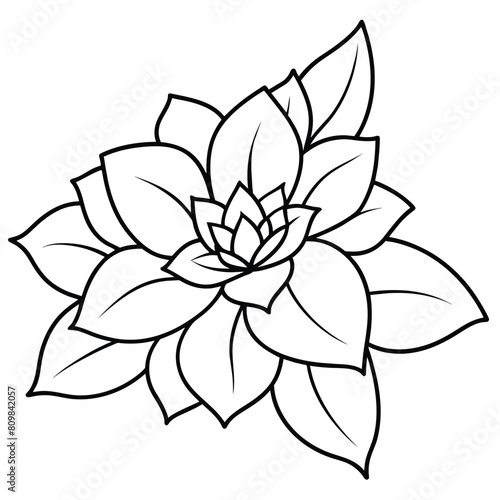 Hand drawn Doodle flowers. Vector illustration design