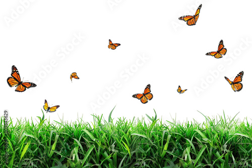Realistic Green Lawn with Butterflies Horizontal Pattern Isolated on a Transparent Background