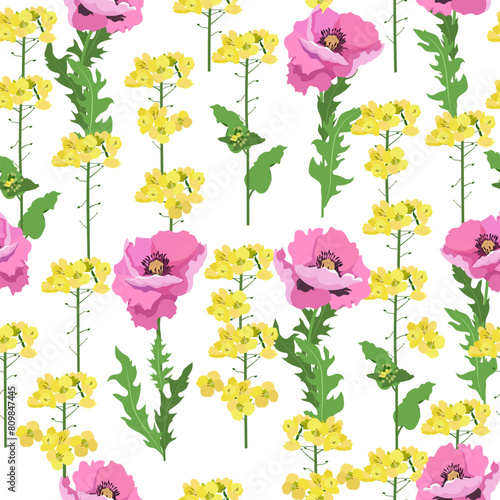Pink poppy and flowers yellow colza on a white background. Seamless patterns.