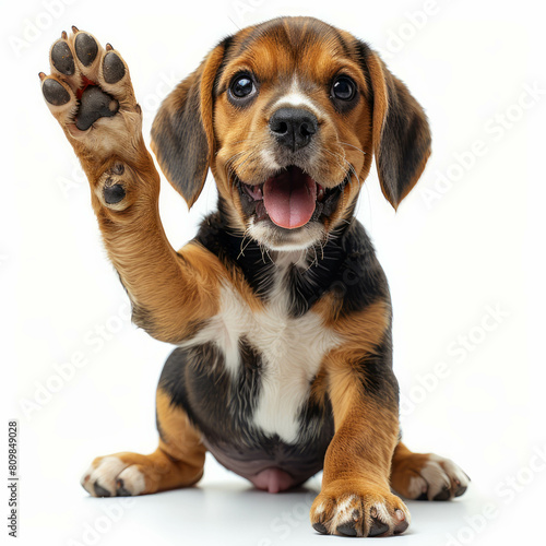 Happy beagle dog lifts paw for a high five, capturing a cute and playful moment. AI generative techniques refine animal portraits. photo