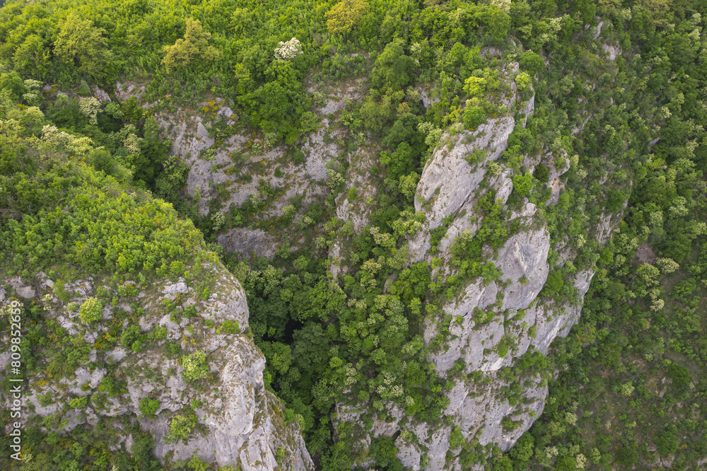 Aerial landscape over the green forest, in springtime Aerial landscape over the green forest, in springtime