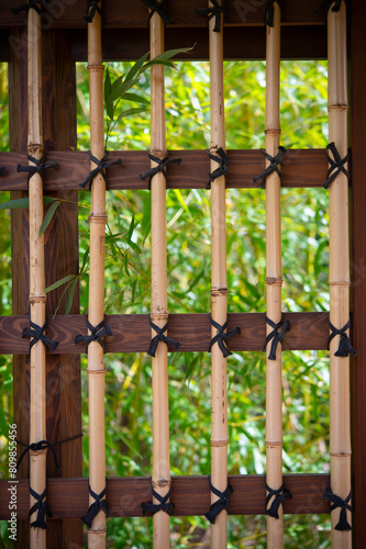 Bamboo branches behind a Japanese style bamboo fence. Decorative hedge in the garden.