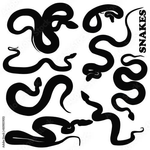 silhouette venomous snake collection or desert on the water snake silhouette flat logo icon vector illustration clipart Snake silhouette set Isolated silhouette snake for a danger warning sign design