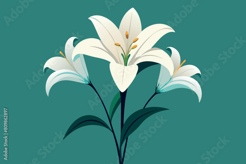 A stylized white lily with prominent stamens against a teal background