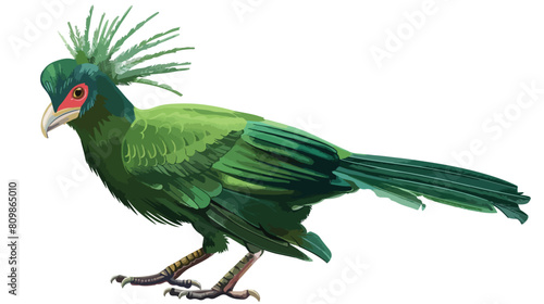 Livingstone turaco green feathered tropical bird with photo