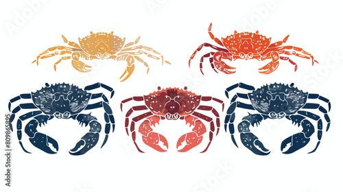 King crab vector illustrations Four. Colorful and mon photo