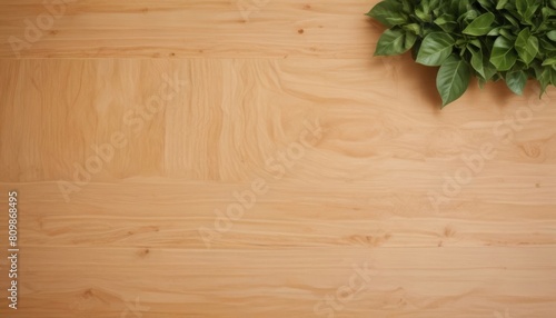 Top view of wood or plywood for backdrop, light wooden table with nature pattern and colour, abstract background