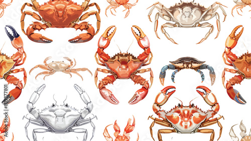 Seamless pattern with various types of crabs on white