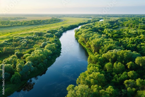 A tranquil river meandering through lush riparian forest photo