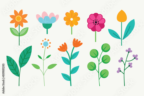 Large set of different flowers and plants in a simple linear doodle style. Vector isolated floral illustration