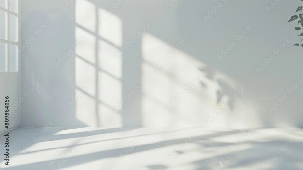 Abstract white studio background for product presentation. Empty room with shadows of window and flowers and palm leaves . 3d room with copy space. Summer concert. Blurred backdrop