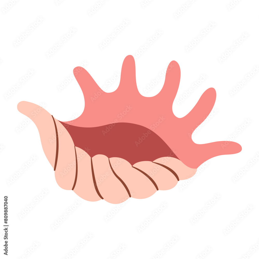 Hand drawn Spider Conch Seashell. Modern flat style seashell illustration. Souvenir Seashell isolated on white background. Vector illustration Hand drawn Spider Conch Seashell. Modern flat style seashell illustration. Souvenir Seashell isolated on white background. Vector illustration