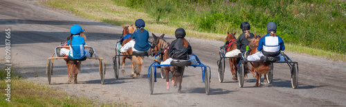 Fotografie Equestrian sport