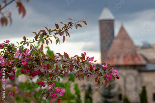 Yakutiye Medrese or madrasa with spring flowers , Erzurum under dramatic skies. photo