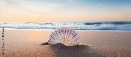 A scallop shell rests on a sandy beach its smooth curves contrasting with the tousled sand and the wind blown atmosphere. Creative banner. Copyspace image